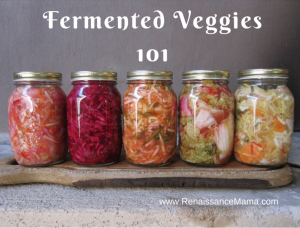 Fermented Vegetables 101