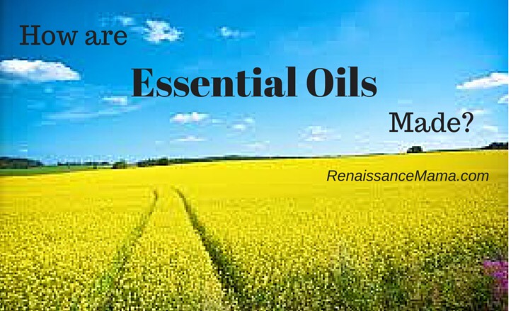 How are essential oils made