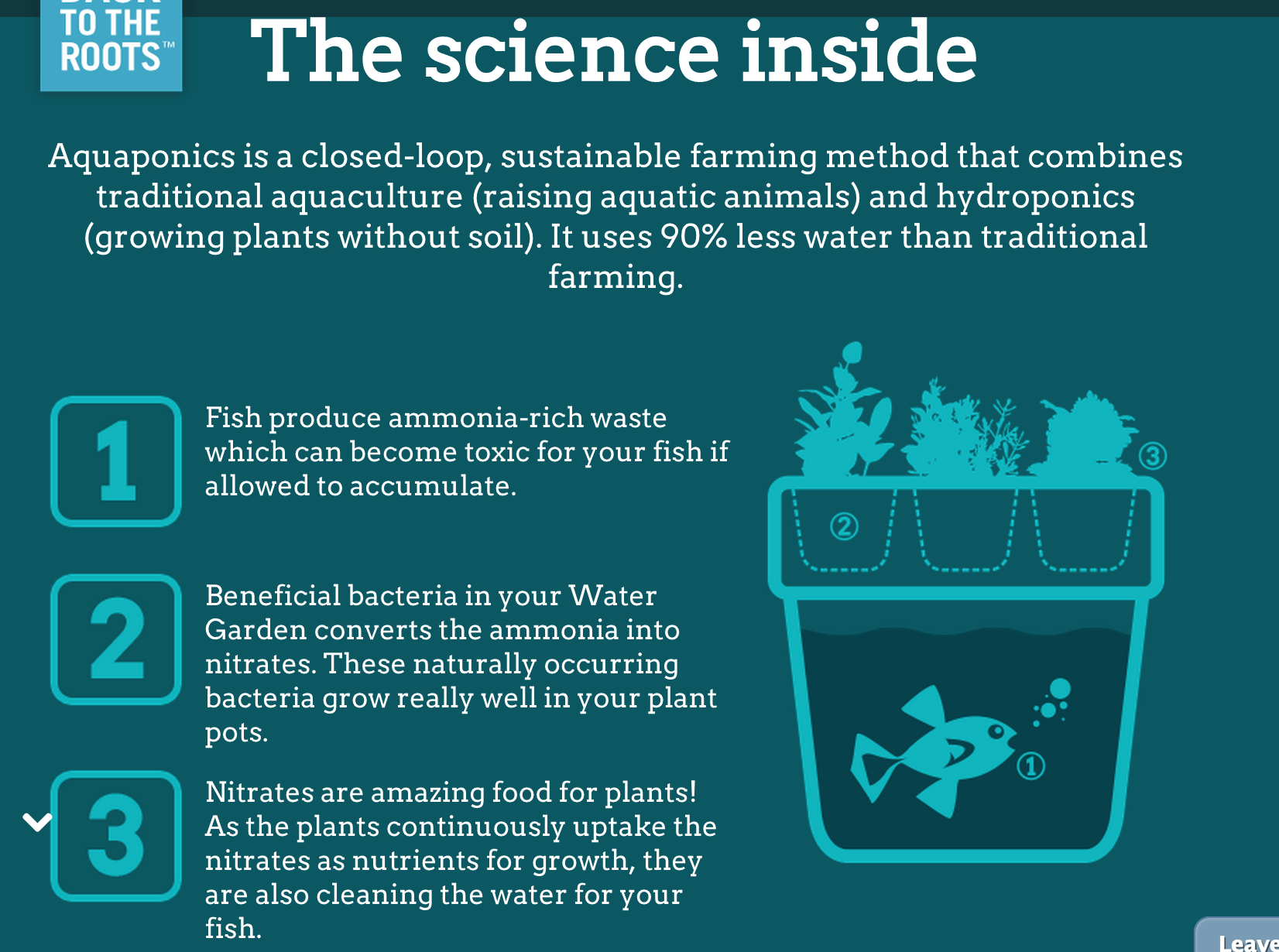 aquaponics science