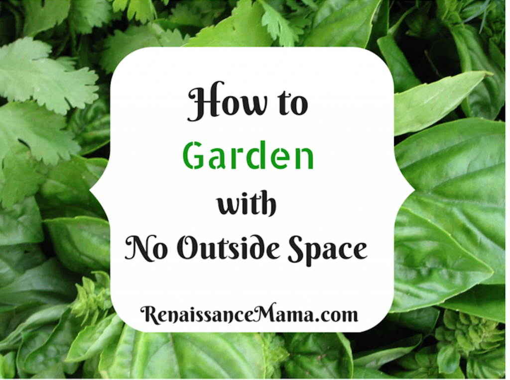 How to garden with no outside space