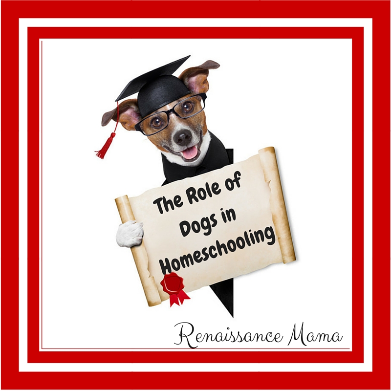 The Role of Dogs in Homeschooling